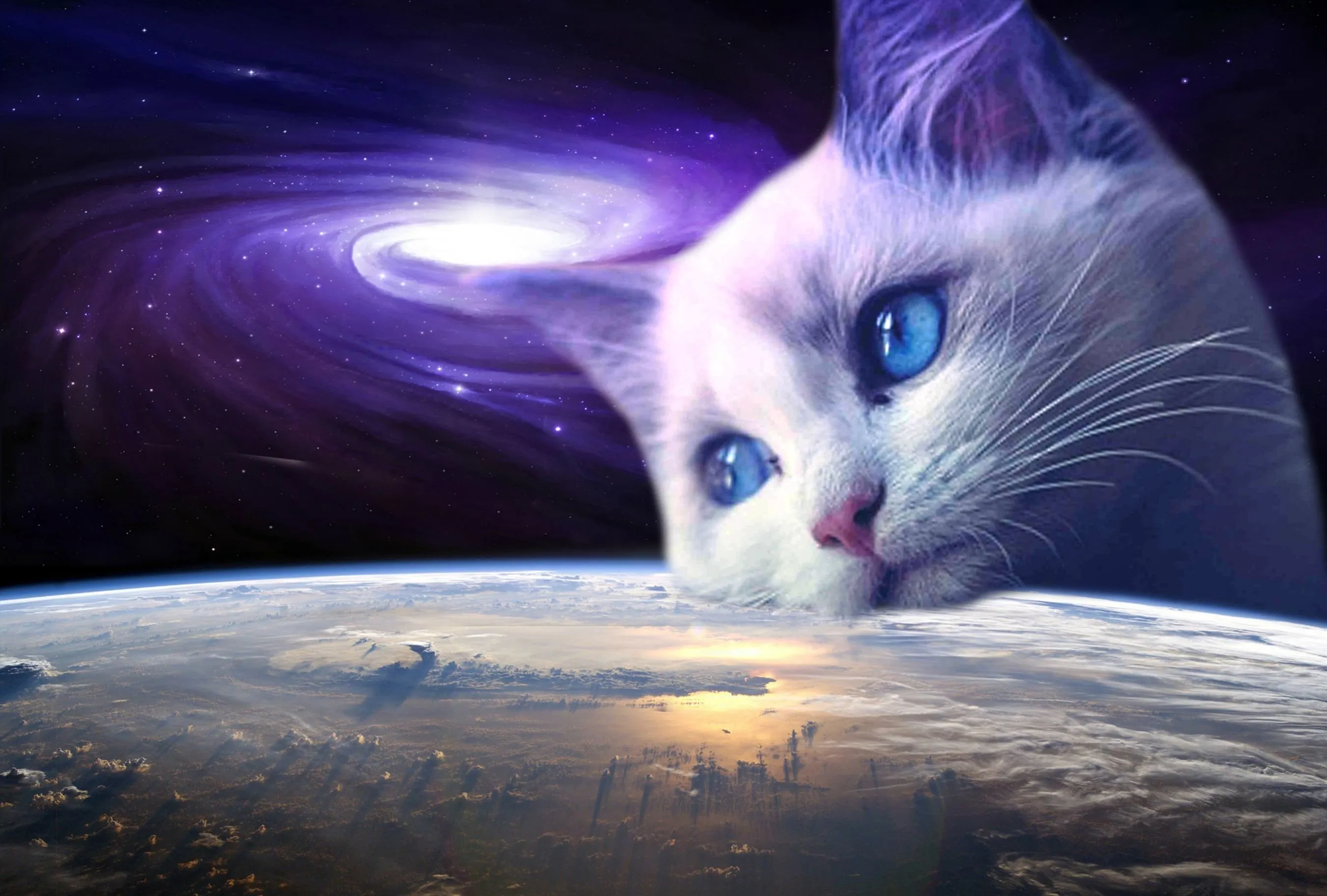 Кот в космосе рисунок. Космический кот. Кот в космосе. Котенок в космосе. Вселенная кошек.
