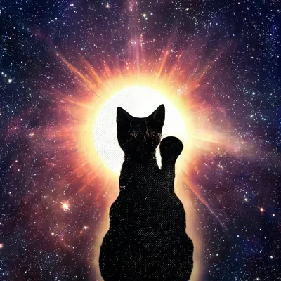 Кот в космосе стоковое фото. изображение насчитывающей технология - 97178538