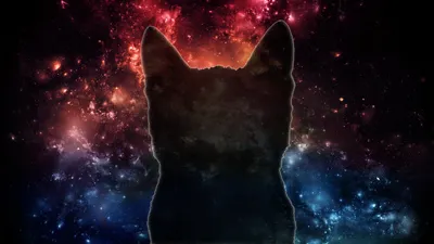кот в космосе✨ в 2023 г | Милые рисунки, Галактический кот, Кот-космонавт