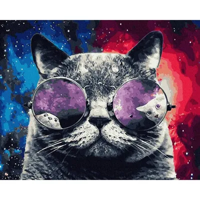 Картина по номерам Космический кот, Rainbow Art, GX27976 - описание,  отзывы, продажа | CultMall