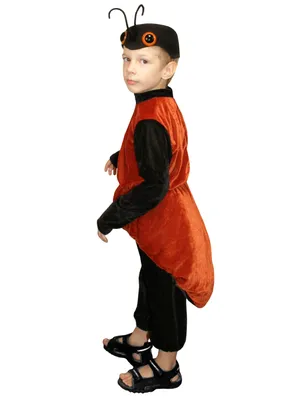 Карнавальный костюм Насекомого, Муравей Аспект-Сити 15116249 купить в  интернет-магазине Wildberries