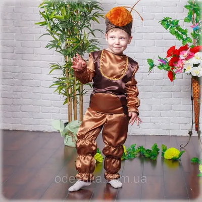 Костюм тараканов для взрослых на Хэллоуин, необычный смешной мужской  косплей для насекомых, животных, рождественский карнавальный костюм,  комбинезон Вечерние | AliExpress