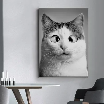 Черный кот, белый кот - купить с доставкой по выгодным ценам в  интернет-магазине OZON (940745408)