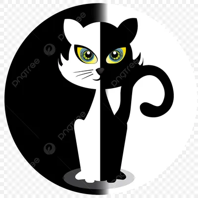 Черно-белый молодой кот стоковое изображение. изображение насчитывающей  довольно - 77775081