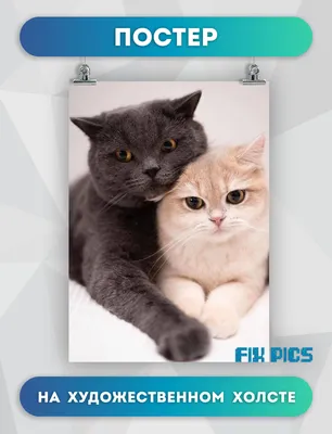 Постер FIX CANVAS Арт купить по выгодной цене в интернет-магазине OZON  (783767625)