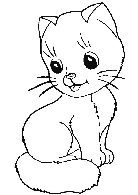 Котик раскраска для малышей - 57 фото