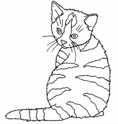 Раскраска - Три кота - Домик трёх котов | MirChild
