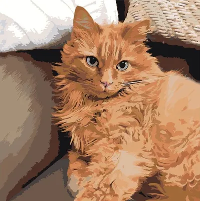 Раскраска Анимэ кот | Раскраски кошки для детей распечатать, скачать