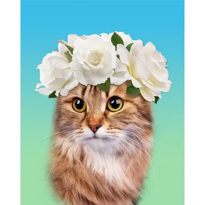Картинки кот дарит цветы (63 фото) » Картинки и статусы про окружающий мир  вокруг