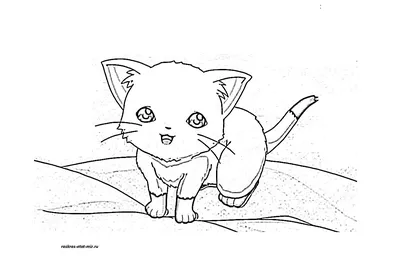 Картинки котики аниме (55 фото) » рисунки для срисовки на Газ-квас.ком