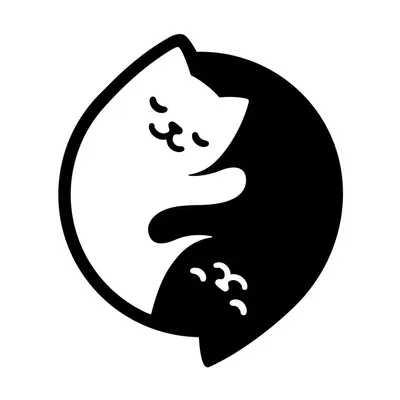 Черно-белые коты - красивые фото
