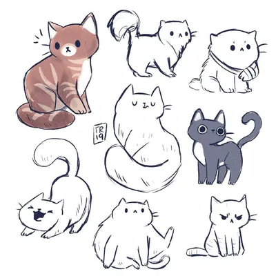 Картинки котики для срисовки (33 фото)