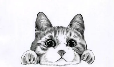 Рисованные мультяшные коты - 58 фото