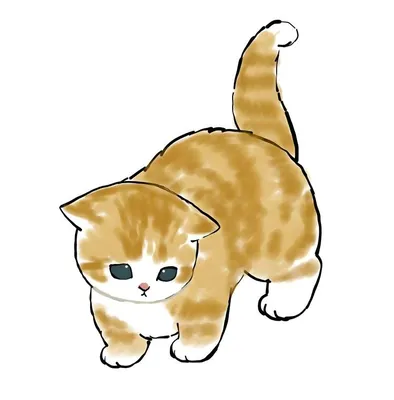 Mofu Sand | Милые котики, Иллюстрации кошек, Милые рисунки