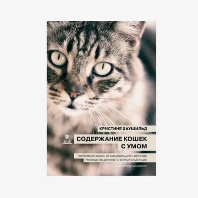 Мильбемакс табл антигельминтик для кошек и котят 2 шт - купить в  Новосибирске по цене от 848 рублей в интернет-магазине Мокрый Нос с  доставкой