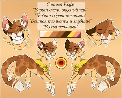 Sleepy Coffee°• | Wiki | •° Коты-Воители •° Amino