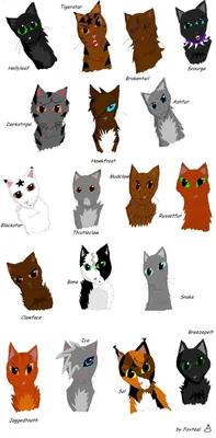 Все персонажи котов воителей - фото и картинки abrakadabra.fun