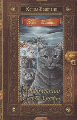 Коты воители /Пепелица | Warrior cat drawings, Cat drawing, Warrior cat