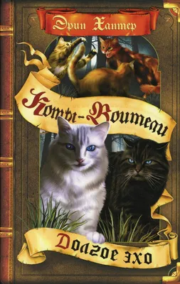 Рассвет | Коты-воители вики | Fandom