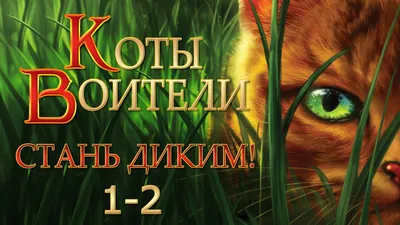 Коты воители» — создано в Шедевруме