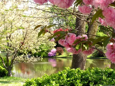 Красивые картинки природа весна хорошего настроения (44 фото) » Юмор,  позитив и много смешных картинок