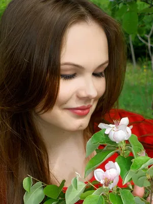 Багульник, багульник цветок, макро, розовый цветок, кустарник, весна,  первые цветы, красивый цветок Багульник цветение в мае Stock Photo | Adobe  Stock