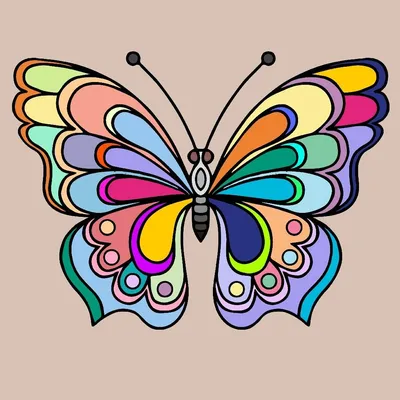 Рисованные бабочки | Рисовать, Татуировка в виде бабочки, Раскраска мандала