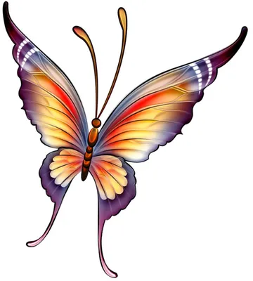 Картинки бабочки красивые нарисованные цветные - 79 фото
