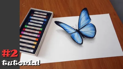 Как нарисовать бабочку в 3d. Иллюзия объема БЕЗ КАМЕРЫ и под любыми  углами!!! - YouTube