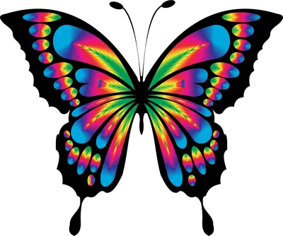 Рисунки бабочек цветные - 77 фото