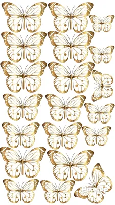 Красивые Бабочки - Butterfly Vector - Free Transparent PNG Clipart Images  Download