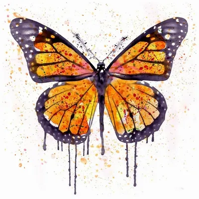 Декоретто Акварельные бабочки AI 1006 купить в интернет-магазине Доминго