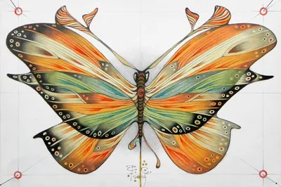 Рисунки бабочек для срисовки (100 фото) • Прикольные картинки и позитив