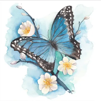 Две голубые бабочки рисунок - фото и картинки abrakadabra.fun