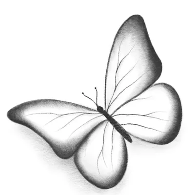 Бабочка Nymphalidae Moth, Бабочка, рисунок Бабочка, красивая фиолетовая  бабочка, фиолетовый, кисть Бабочка с ногами png | PNGEgg