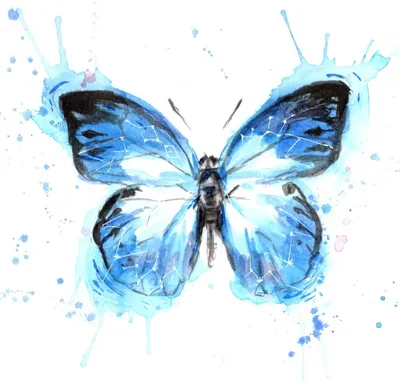 Образовательная игра соединяет точки, чтобы нарисовать бабочку Векторное  изображение ©AlexanderPokusay 87433874