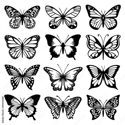 Дудл Насекомые Бесшовные Узоры Красивые Бабочки Мотыльки Цветами Листьями  Белом Векторное изображение ©lenanikolaeva 498067740