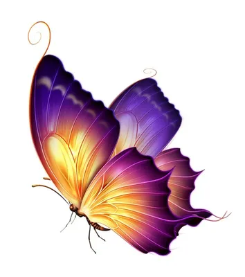 Рисунки бабочек цветные легкие - 46 фото