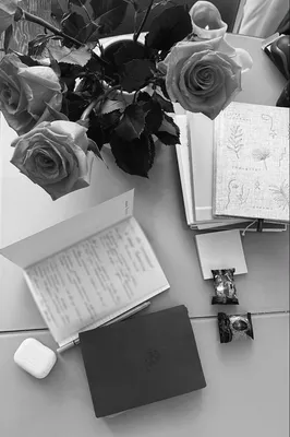 атмосфера эстетика дом уют розы цветы стиль красивые цветы чб | Черно-белое,  Черно-белое фото, Картинки