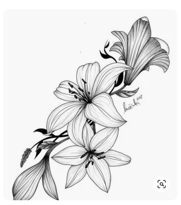 Черно-белые флизелиновые фотообои красивые цветы 312x219 см Орхидеи и  жемчуг (3012VEXXL)+клей купить по цене 1400,00 грн