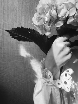 Чёрно - белое фото, рука с цветком, цветок в руках, девушка цветок,  гортензия | Идеи для фото, Букет цветов девушка, Черно-белое