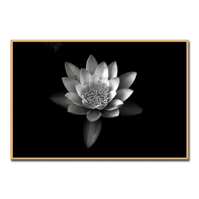 Красивые Черно Белые Цветы Орхидеи Выгравированы Чернилами Изолированный  Элемент Иллюстрации Векторное изображение ©AndreYanush 230866322