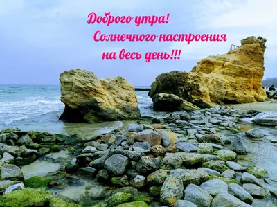 Доброе утро! 🌸 \"Доброе утро\" - щебечет природа... 🌸 Доброго утра желаю  тебе!🌸 Good morning! - YouTube