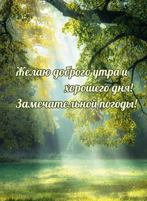 Доброе утро с природой и пожеланиями - фото и картинки: 62 штук