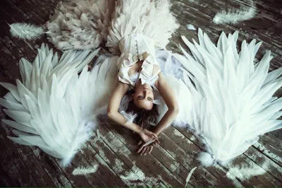 Нежные крылья ангела. Белые крылья. Фотосессия в крыльях. Крылья ангела.  Фотосессия беременных | Фотосессии беременных, Фотосессия, Крылья
