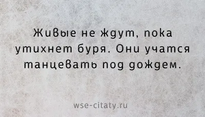 Позитивные высказывания и красивые картинки | Прикол.ру - приколы,  картинки, фотки и розыгрыши!