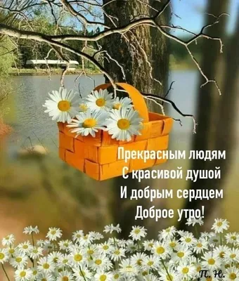 Красивые картинки доброе утро природа фотографии