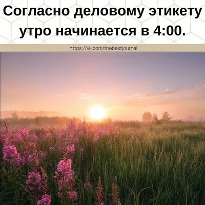 Доброе утро! 🌸 \"Доброе утро\" - щебечет природа... 🌸 Доброго утра желаю  тебе!🌸 Good morning! - YouTube