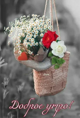 Красивые цветы - Доброе утро, друг. Желаю тебе проснуться... | Facebook