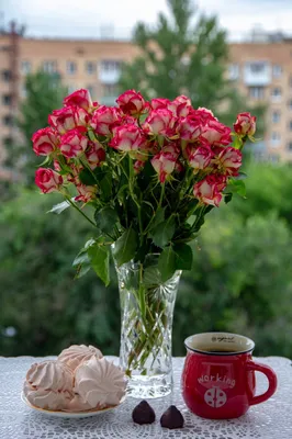 Создать мем \"доброго утра, красивые цветы, доброе утро красивые цветы\" -  Картинки - Meme-arsenal.com